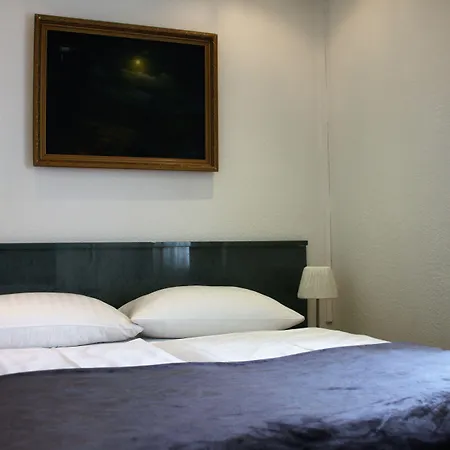Altstadthotel Hayk Am Rhein Otel
