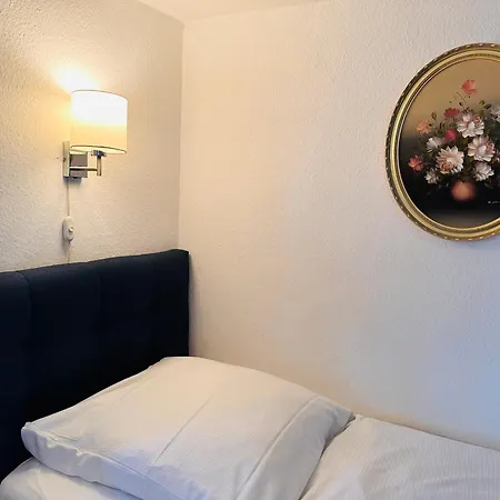 ホテル Altstadthotel Hayk Am Rhein 3*