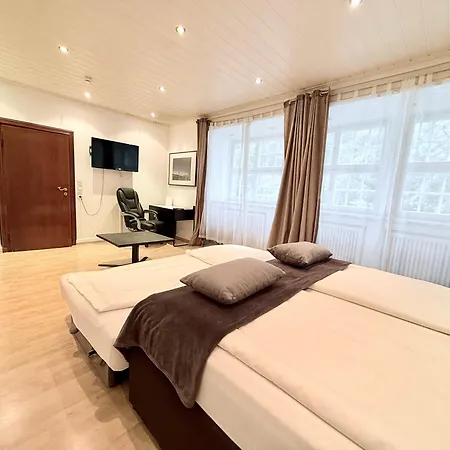 Hotel Altstadthotel Hayk Am Rhein 3*