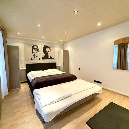 Altstadthotel Hayk Am Rhein 3*