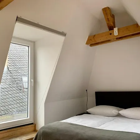 Altstadthotel Hayk Am Rhein Hotel