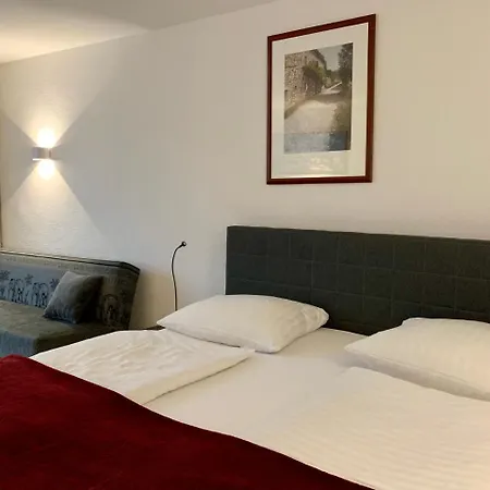 Altstadthotel Hayk Am Rhein Hotel 3*