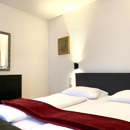 Altstadthotel Hayk Am Rhein