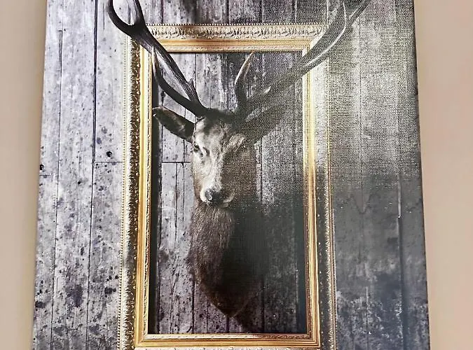 Hotel Altstadthotel Hayk Am Rhein Colónia