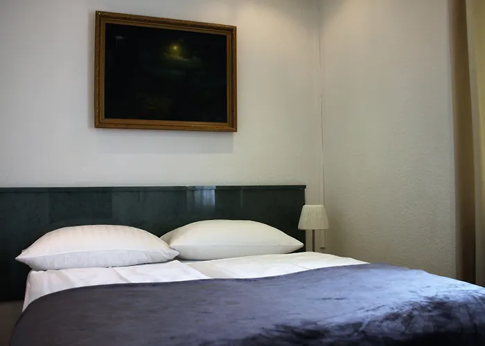 Altstadthotel Hayk Am Rhein Hotel