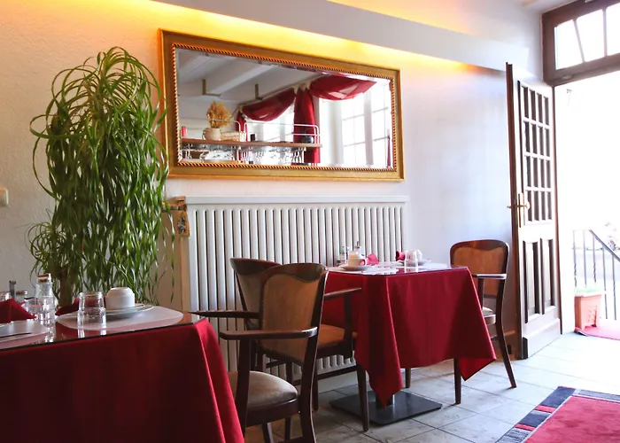 Altstadthotel Hayk Am Rhein Hotel