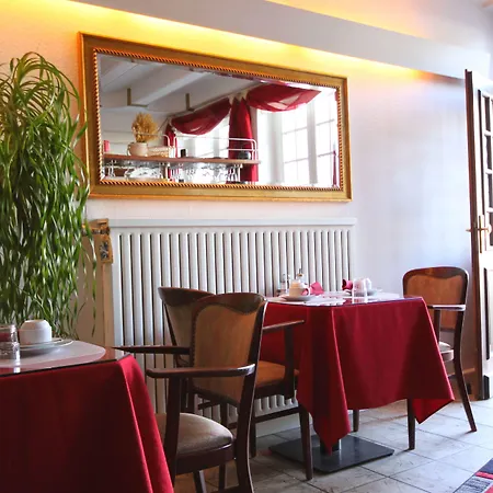 Altstadthotel Hayk Am Rhein מלון