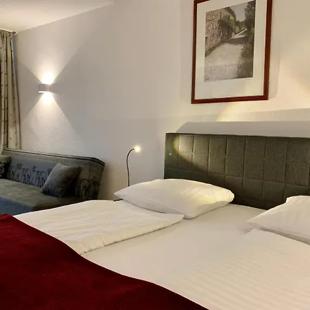 Altstadthotel Hayk Am Rhein Hotell