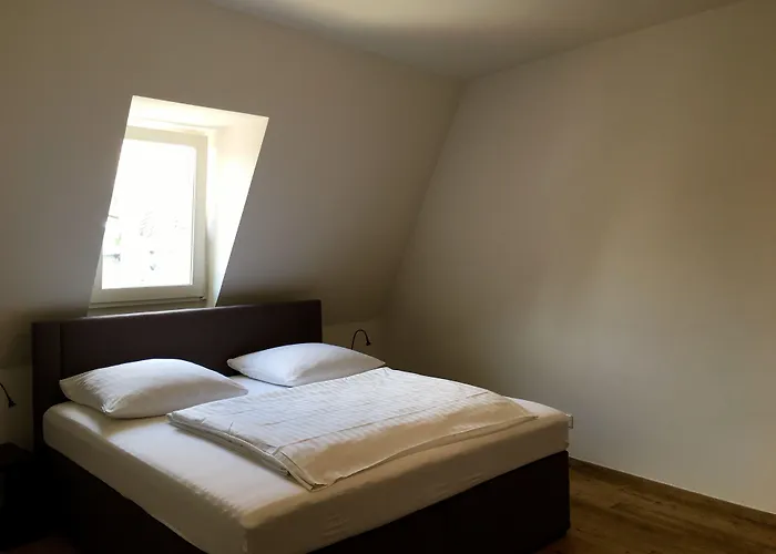 酒店 Altstadthotel Hayk Am Rhein